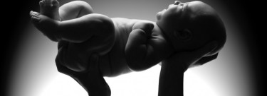 Gruesome Abortion Emails