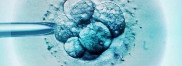 IVF Success Rates Misleading