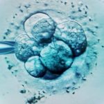 ivf